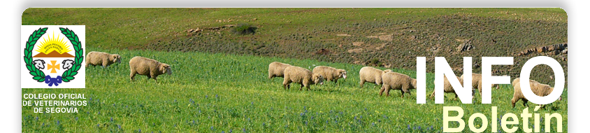 Colegio de Veterinarios de Segovia